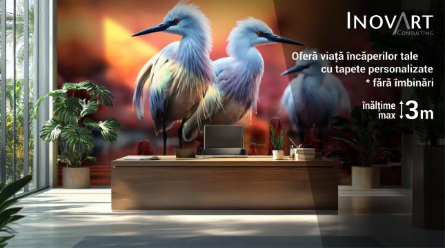 Tapet printat la latime 3m, fara imbinari