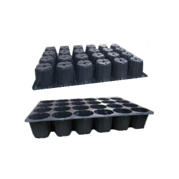 Tava alveolara 24 celule