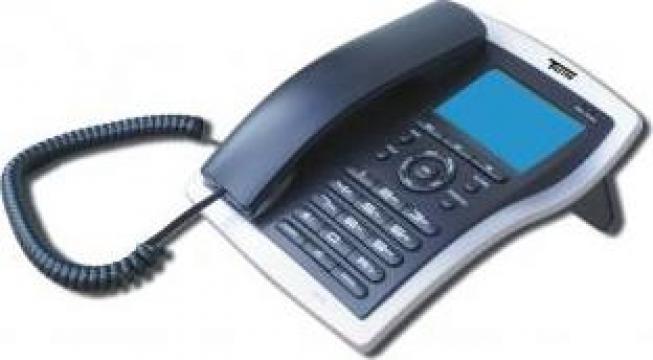 Telefon fix Teleton 6019