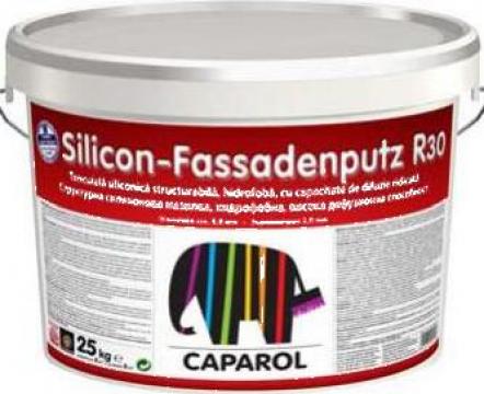 Tencuiala siliconica Caparol - Silicon Fassadenputz