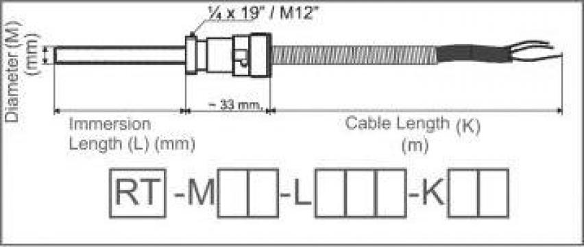 Termorezistenta RT-M06-L100-K02