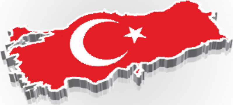 Traducator limba turca - procura auto Turcia