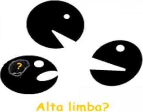 Traduceri autorizate, legalizari, apostile - toate limbile
