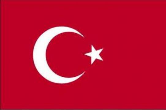 Traduceri limba turca