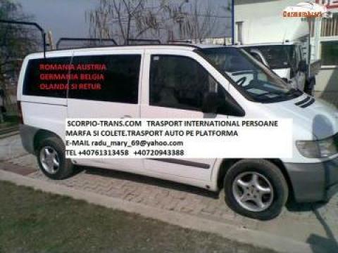 Transport international persoane