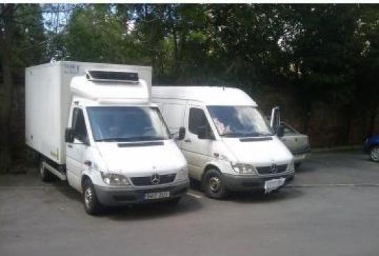 Transport marfa normala si frigo