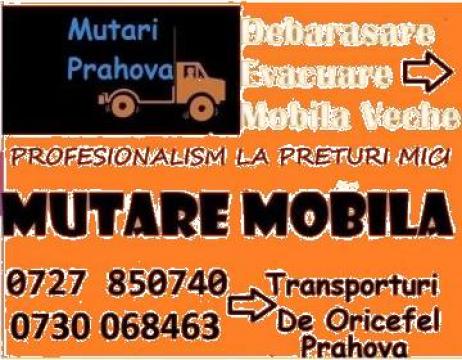 Transport mobila, marfa, moloz Prahova
