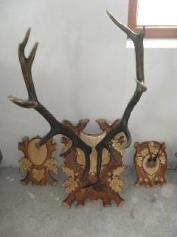 Trofee coarne cerb