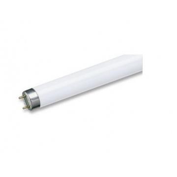 Tub actinic Philips BL T8