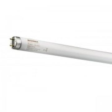 Tub neon Sylvania T8 F36W/865