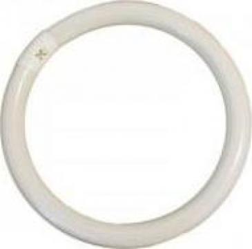 Tub neon T9 32W circular