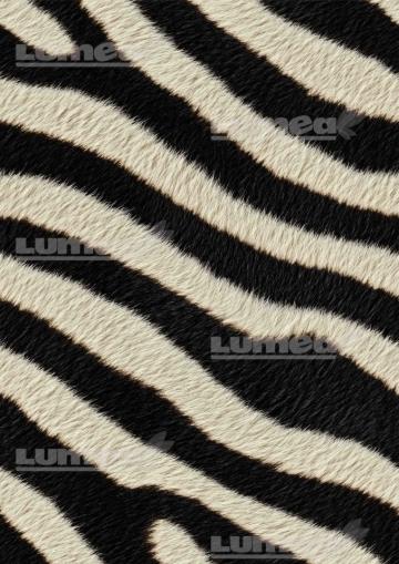 Vafa tort A3 Zebra - Lumea
