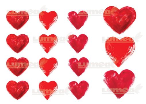 Vafa tort Inimile diferite, Valentine's Day 1