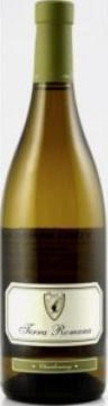 Vin S.E.R.V.E. Terra Romana Chardonnay 2013