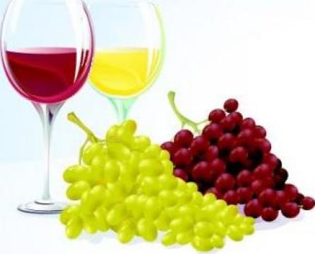 Vin de Ciumbrud alb (sec si demisec)/ rosu (demisec)