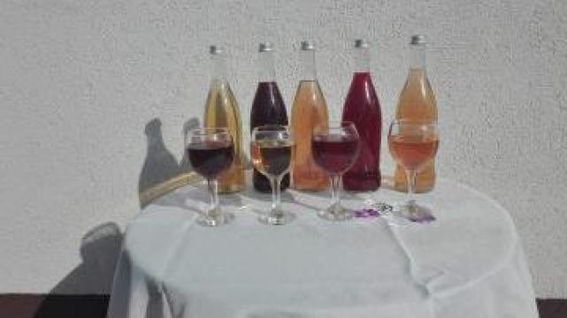 Vin natural de Bohotin