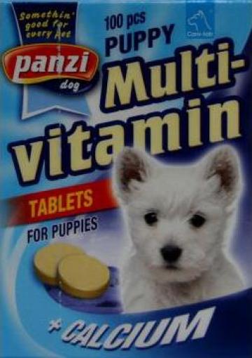 Vitamine caini tineri Multivitamin Puppy Panzi