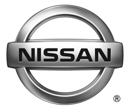 Vopsea auto Nissan preparata la culoarea masinii