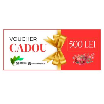 Voucher cadou 500 lei