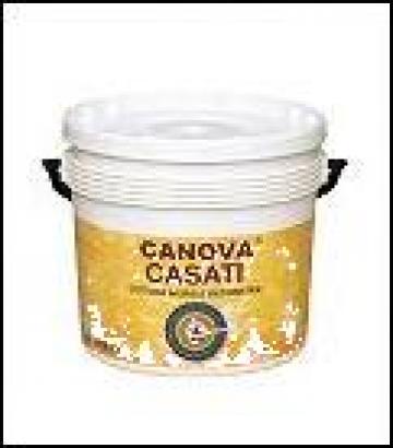 Zugraveala murala pentru interioare Canova